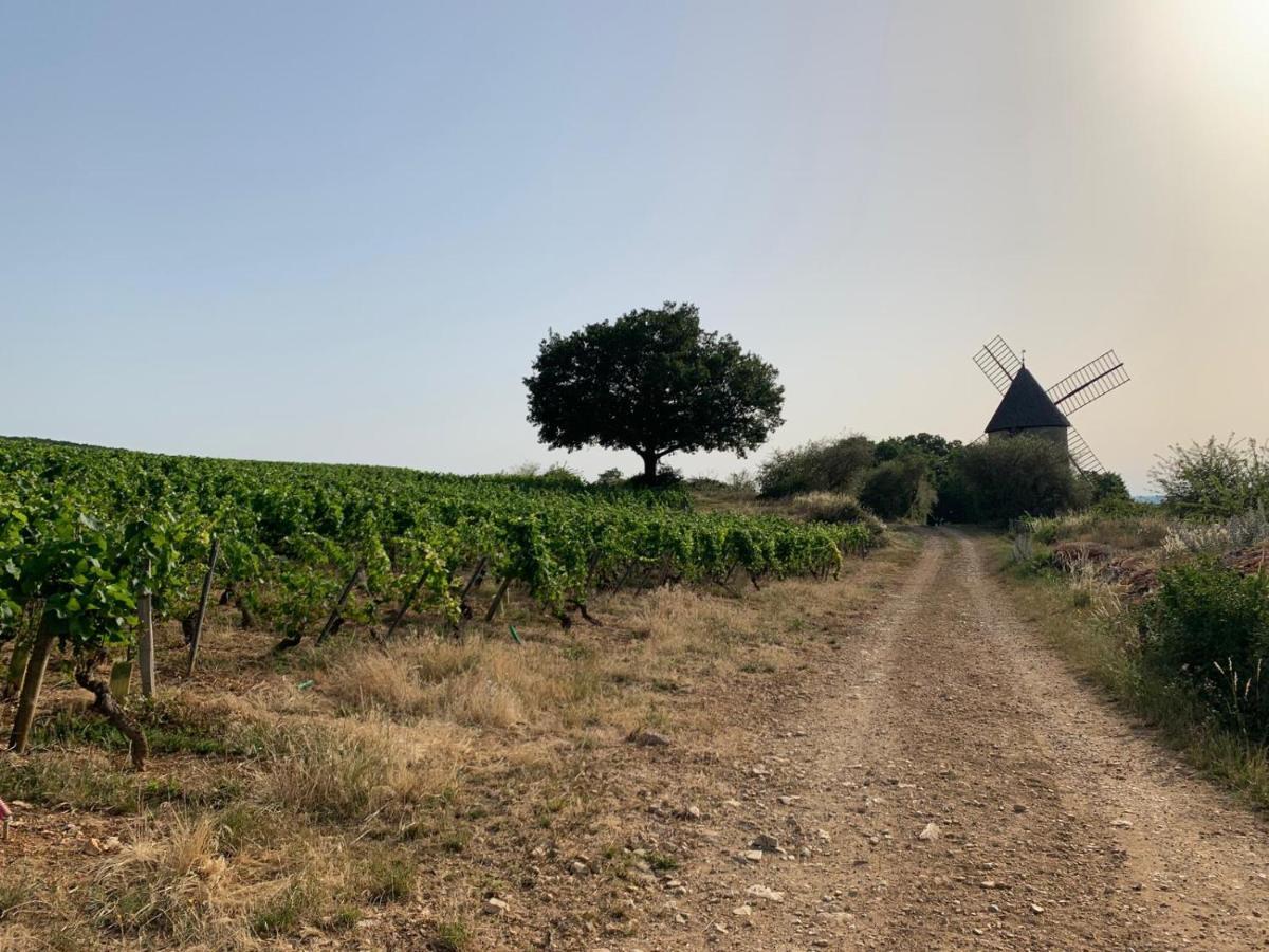 Hébergement de vacances The Gate House & Winery