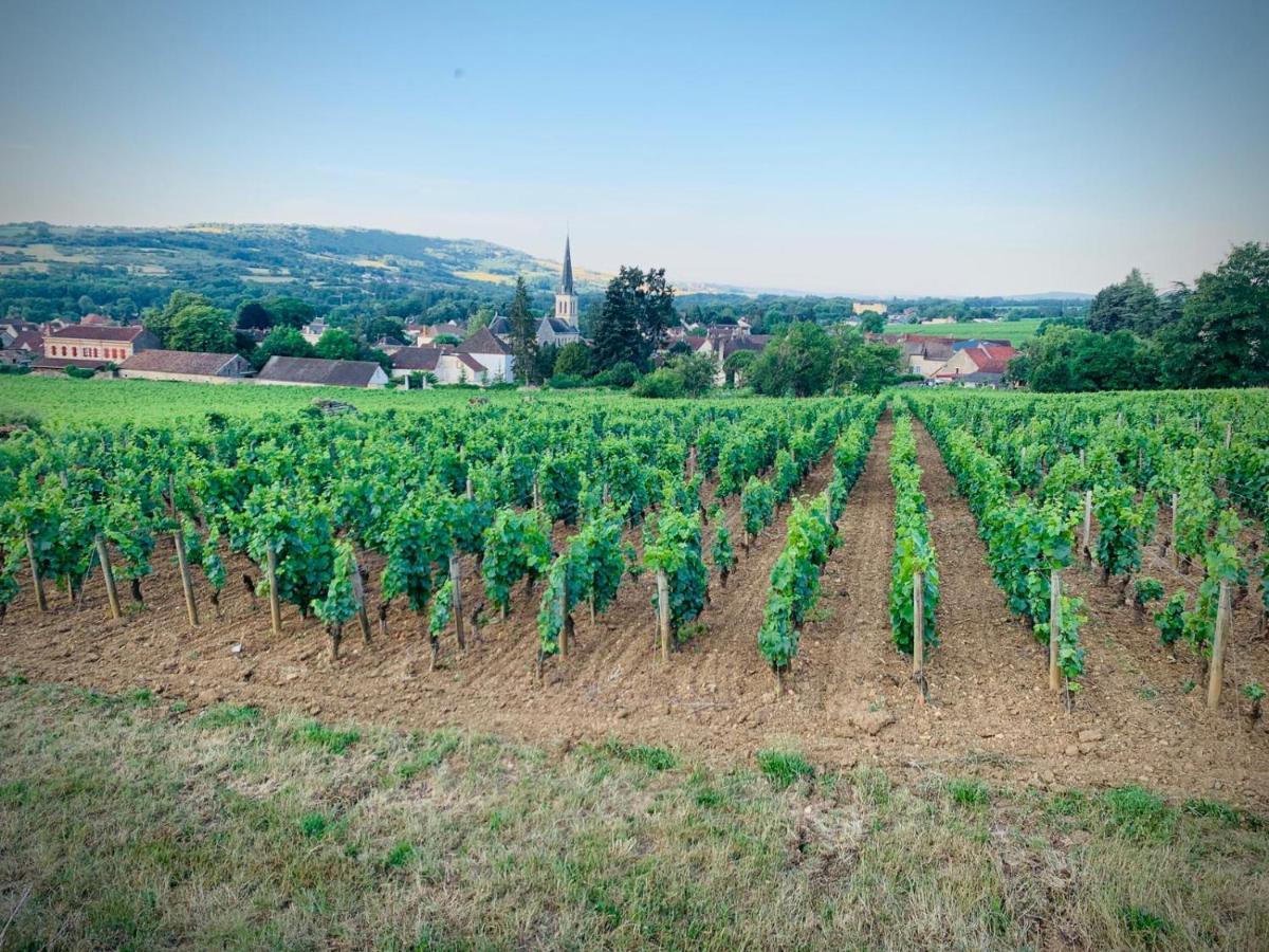 Hébergement de vacances The Gate House & Winery Santenay (Cote-d'Or)