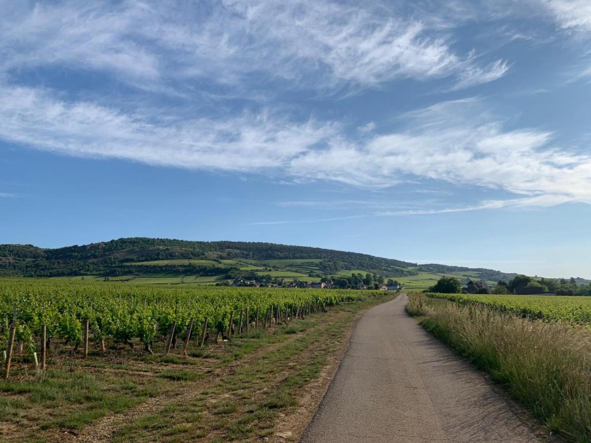 The Gate House & Winery *